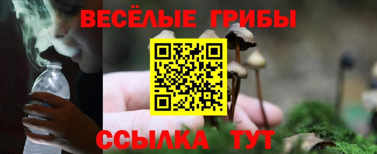 Галлюциногенные грибы мицелий  Вход с VPN  Ярцево  Галлюциногенные грибы мицелий 
